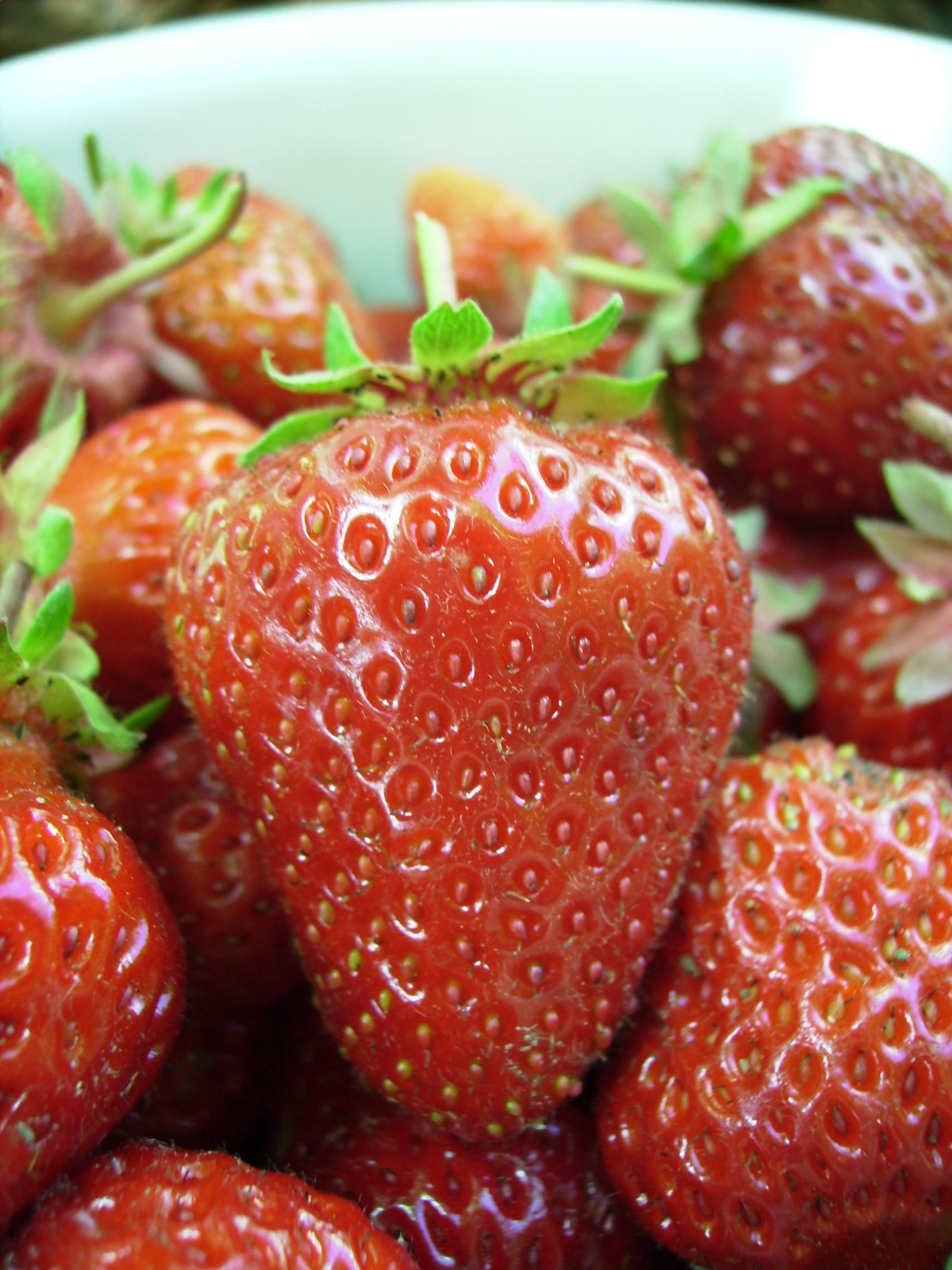 A bowl of ripe, freshly picked strawberries