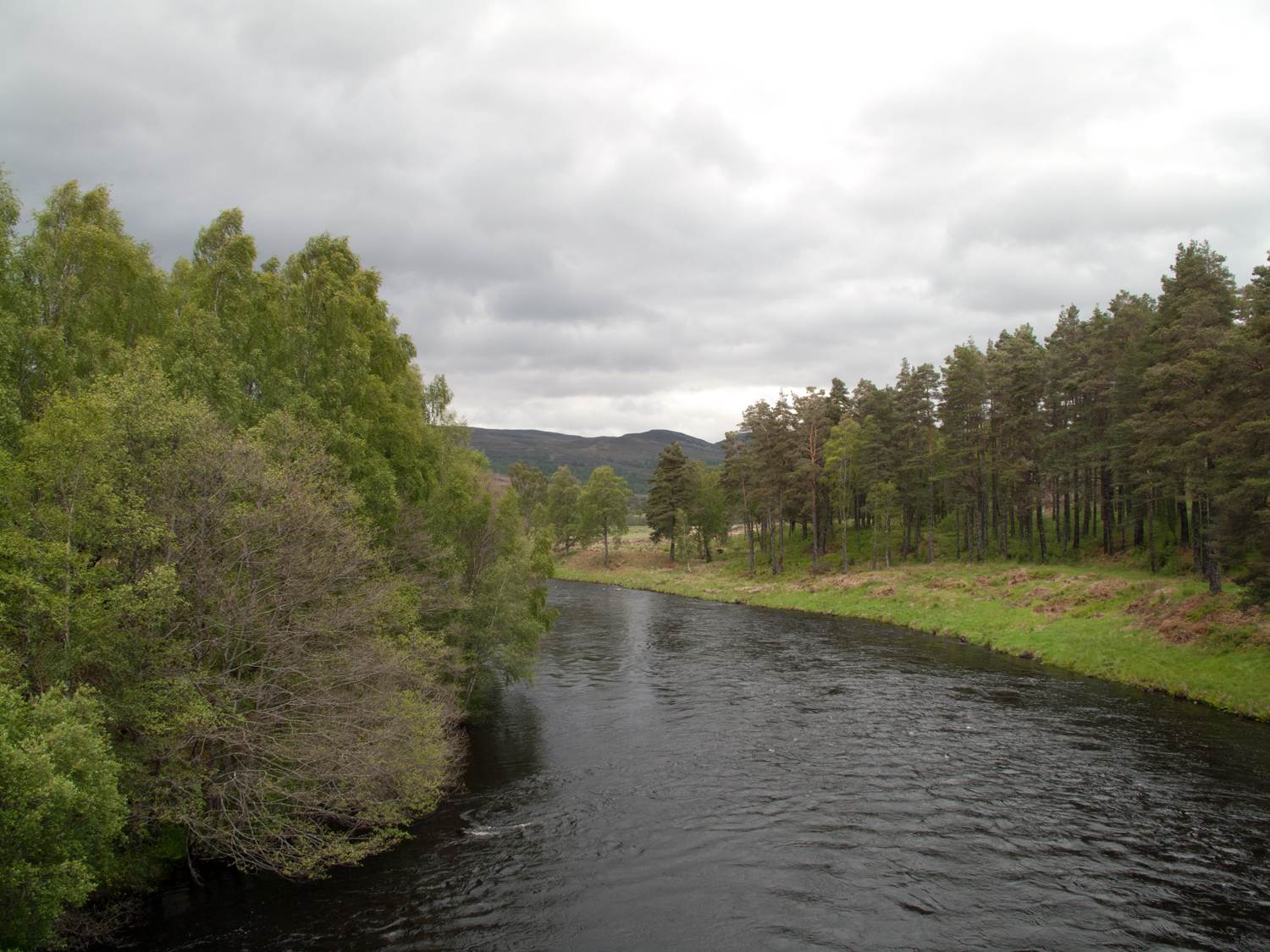 The River Moriston flowing through the glen, lined with birch and pine