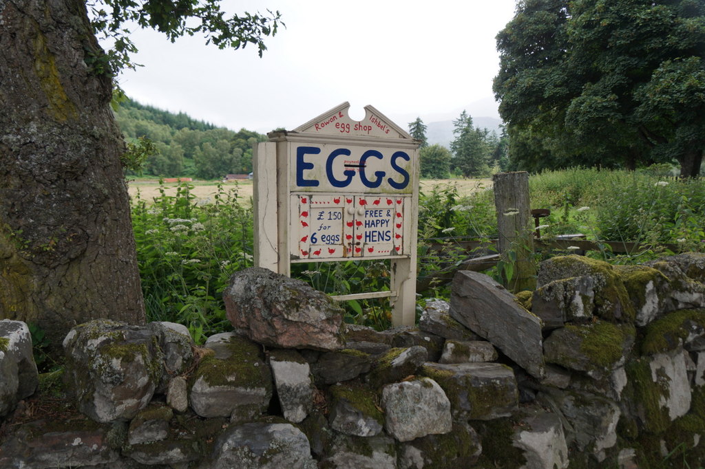A hand-painted eggs-for-sale sign on a drystone wall in the Highlands